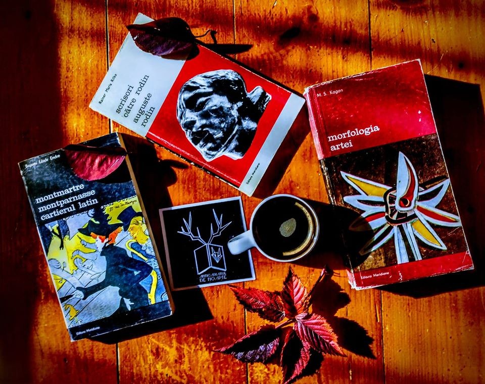 Toamna aceasta îți recomandăm colecția Biblioteca de artă Toamna aceasta îți recomandăm colecția Biblioteca de artă