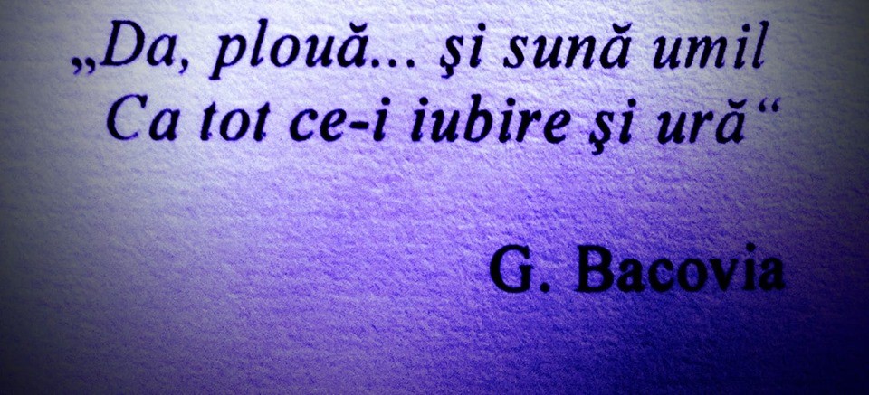 Ploaie bacoviană + o carte bună de savurat... Ploaie bacoviană + o carte bună de savurat...