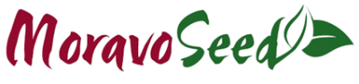 Moravo Seeds