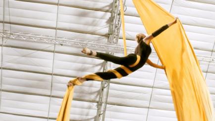 Dove compri prodotti per poledance ? Dove compri prodotti per poledance ?