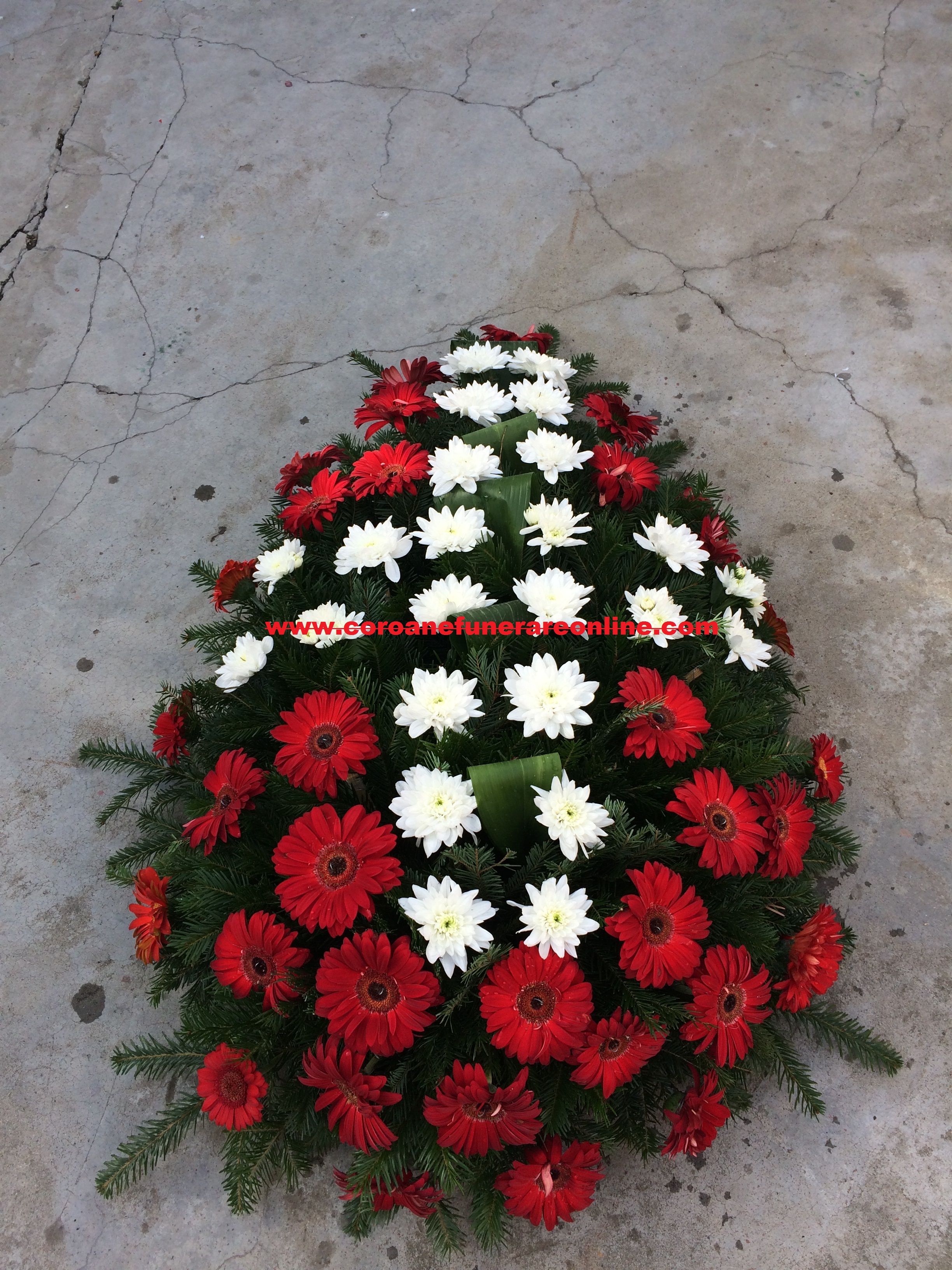coroana funerara gerbera 