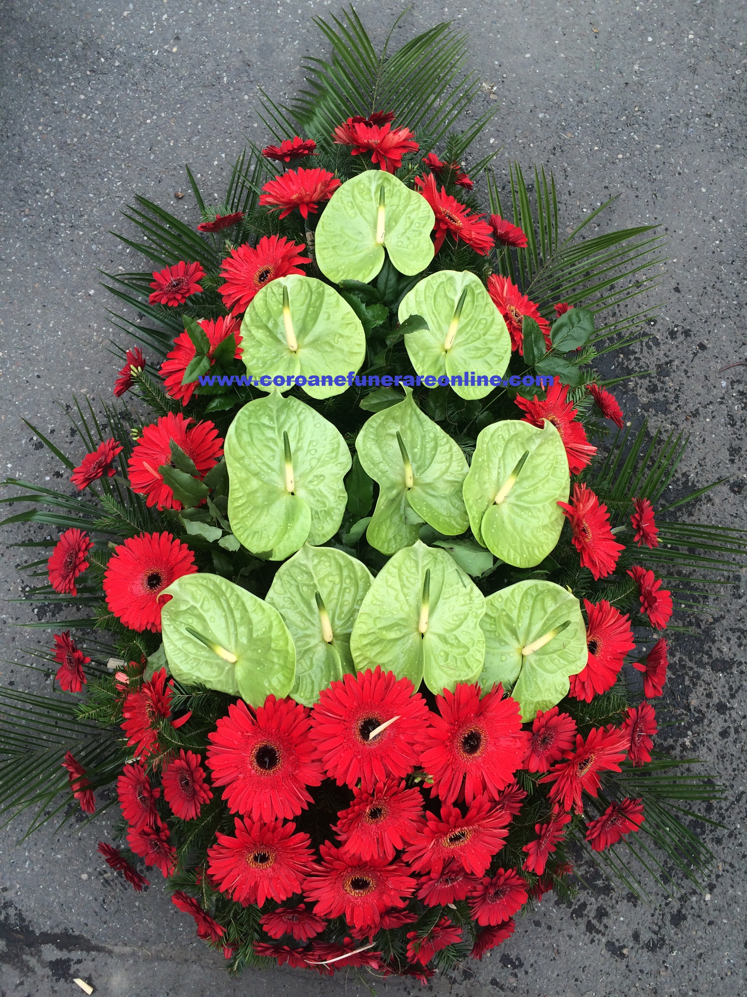 www.coroanefunerareonline.com