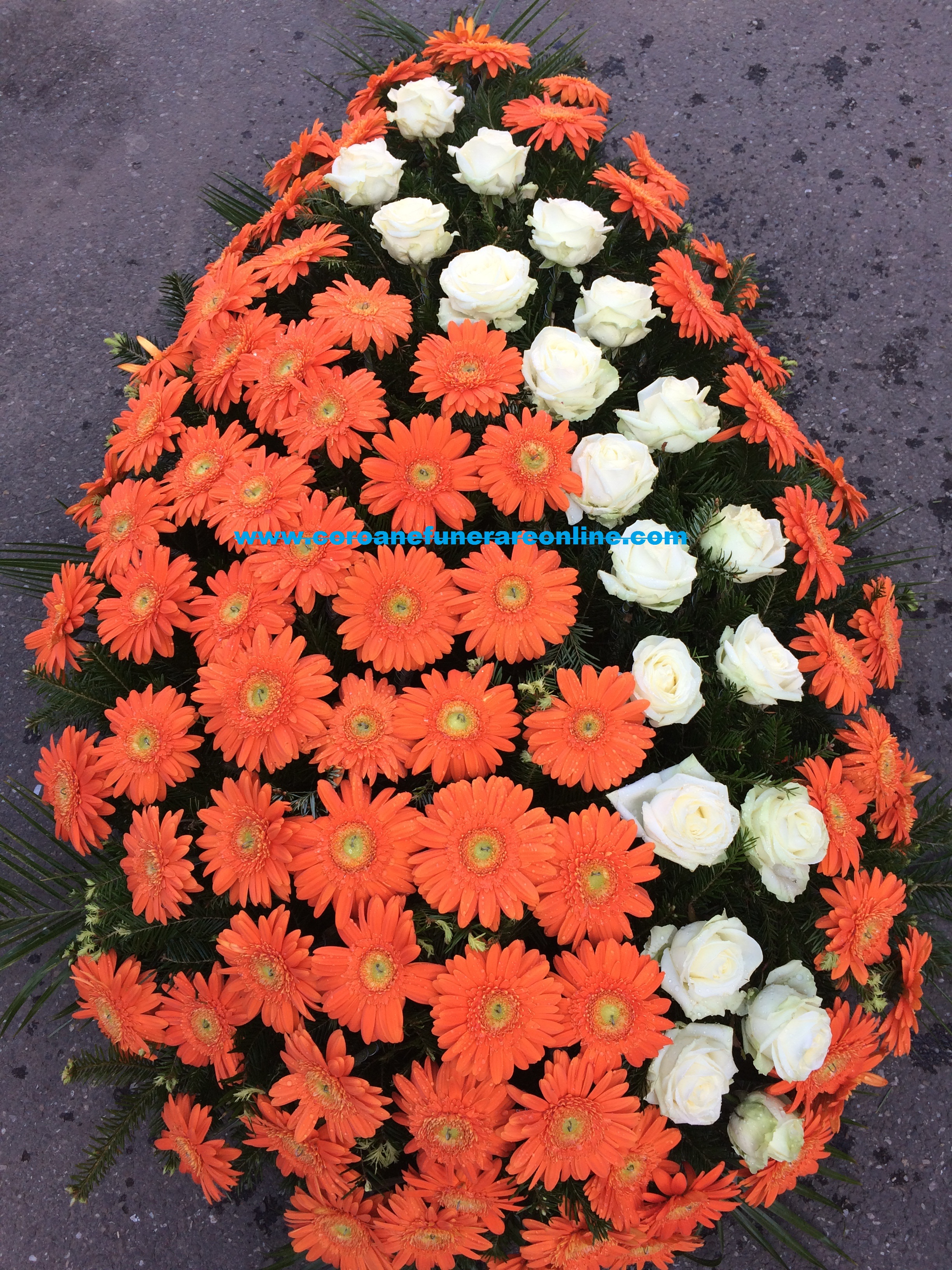 www.coroanefunerareonline.com