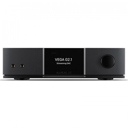 Streamer di Rete con DAC Hi-Fi Auralic Vega G2.1
