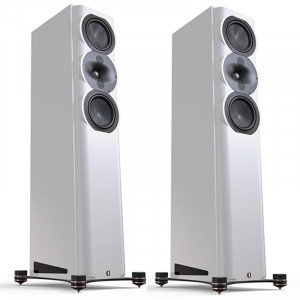 Diffusori da Pavimento 3 Vie Hi-Fi & Home Theatre Perlisten R5t