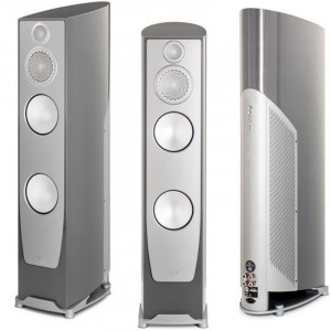 Diffusori Ibridi Hi-Fi / Home Theatre 3,5 Vie da Pavimento Paradigm Persona 9H