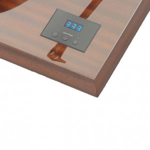 Giradischi Pro-Ject X-TENSION 10 Evolution