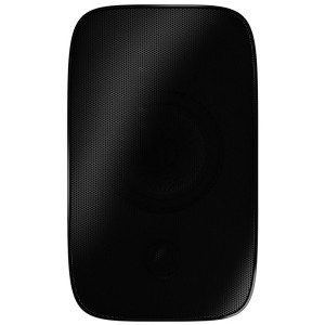 Diffusore HiFi da esterno Weather Proof 2 vie B&W AM-1