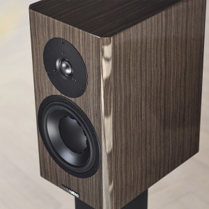 Diffusori da Scaffale 2 Vie Hi-Fi Dynaudio SPECIAL 40