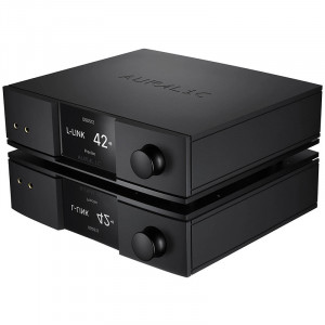 Streamer di Rete con DAC Hi-Fi Auralic Vega G2.1