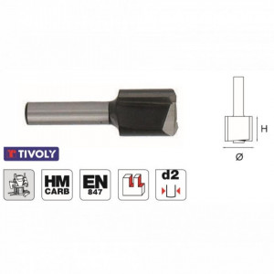 Freza cu coada, placata CMS cu tais drept Z 2 - XT61012