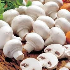 Ciuperci Champignon Vrac