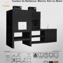 Barbecue Moderne avec Four et Evier AV80M
