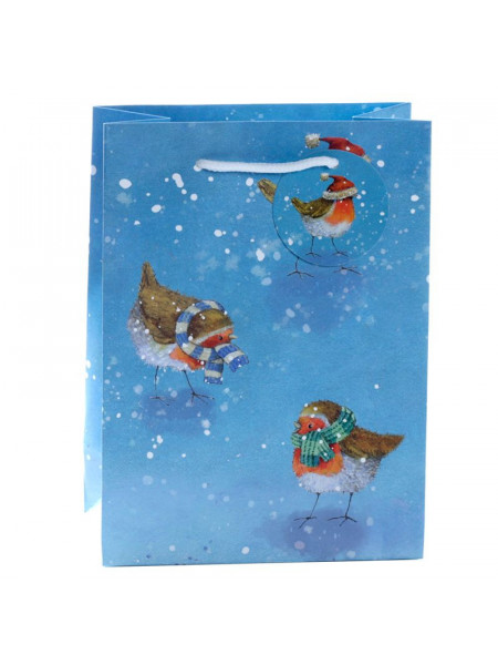 Punga cadou de Craciun Jan Pashley - Christmas Robin - medie