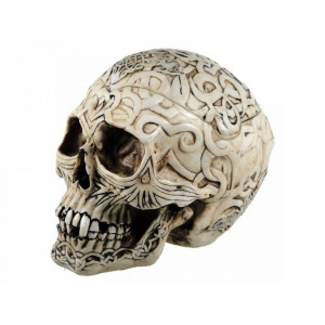 Cutie bijuterii Craniu Celtic 20 cm