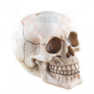 Pusculita Craniu 16cm