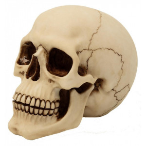 Statueta Craniu 18cm