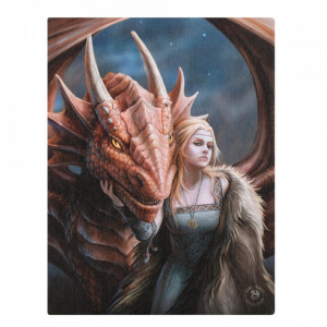 Tablou canvas Friend or Foe, 19x25cm - Anne Stokes