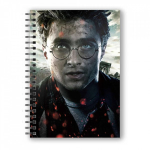 Agenda/Jurnal coperta 3D licenta Harry Potter - Harry Potter