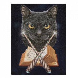 Tablou canvas, Magicianul, 19x25cm - Lisa Parker