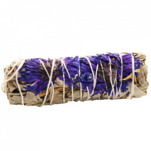 Manunchi de Salvie Alba pentru fumigatii - Purple Daze 10cm