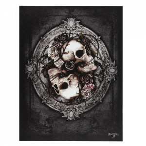 Tablou canvas craniu Dioscuri 25x19cm