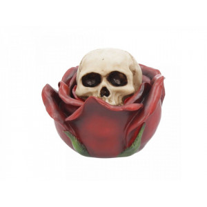 Cutie bijuterii craniu Frumusete macabra 12.5 cm