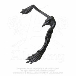 Raven Ear-wing