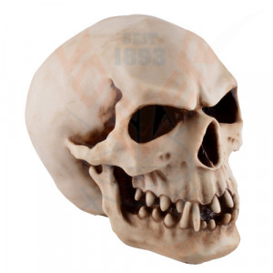 Statueta craniu The Orc 20cm