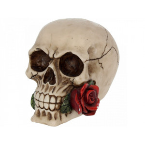 Statueta craniu Un trandafir de dincolo de moarte