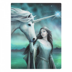 Tablou canvas zana si unicorn, Steaua Nordului 19x25cm - Anne Stokes