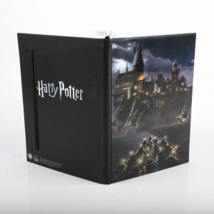 Agenda/Jurnal cu coperti 3D licenta Harry Potter - Castelul Hogwarts