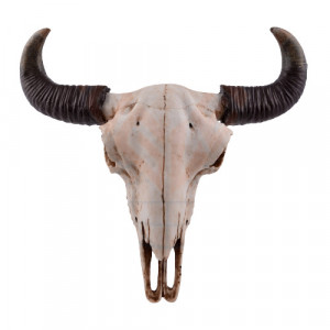Decoratiune pentru perete Craniu de vita 43cm