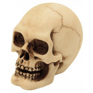Statueta Craniu 8cm