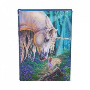 Agenda / Jurnal cu coperti cartonate, unicorn si zana Fairy Whispers - Lisa Parker, 17 cm