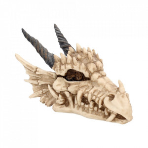 Cutie bijuterii Dragon fioros