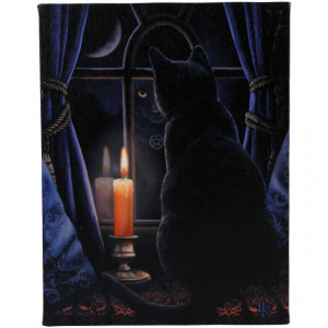 Tablou canvas, Miezul Noptii, 19x25cm - Lisa Parker