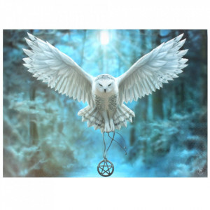Tablou canvas, Awake your Magic, 50x70cm - Anne Stokes