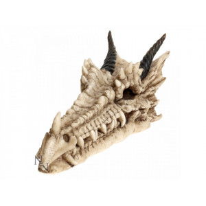 Draco Skull Incense Holder 24cm