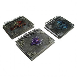 Dragon Note books Pack