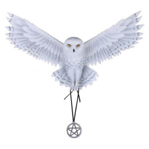 Placheta de perete cu bufnita Descopera magia 45 cm