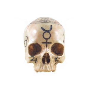 Statueta craniu The Necromancer 18cm