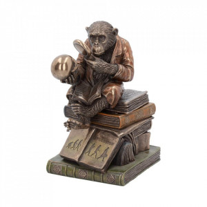 Statueta/ Cutie bijuterii Studiul Teoriei Evolutiei 17.5 cm