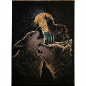 Tablou canvas Cantecul Lupilor 19x25cm - Lisa Parker