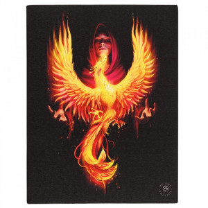 Tablou canvas zana si pasare, Inaltarea Phoenixului 19x25cm - Anne Stokes