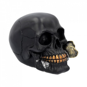 Statueta craniu negru Un trandafir de dincolo de moarte 15 cm