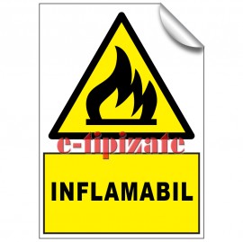 Inflamabil