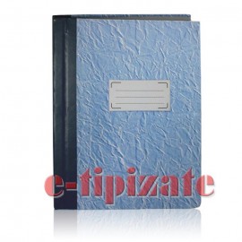 Registru cartonat 100 File