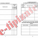 0,77 Lei/ buc - PACHET 300 Fise SSM ( Fise de instruire individuala privind securitatea si sanatatea in munca ) + CADOU 1 PIX SCHNEIDER K15