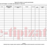 Registru Acces Auto - 100 file